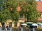 Kallm�nz: Landgasthof Birnthaler